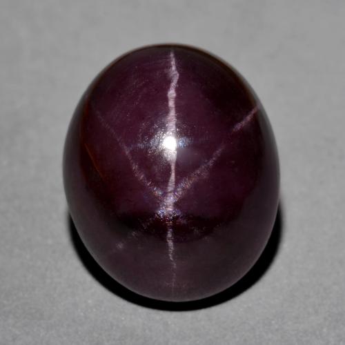 Mahogany Red Star Garnet Gem - 23.9ct Oval Cabochon (ID: 574675)