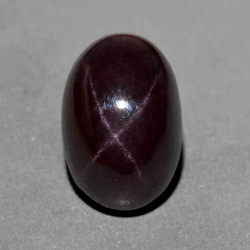 Rouge acajou Grenat Étoilé gemme - 14.6ct Ovale Cabochon (ID: 574678)