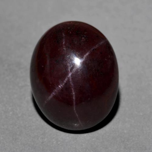 Mahogany Red Star Garnet Gem - 17.5ct Oval Cabochon (ID: 574679)