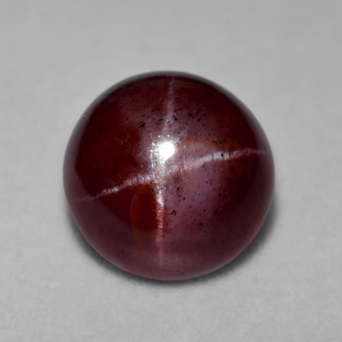 Deep Red Star Garnet Gem - 5.9ct Round Cabochon (ID: 574881)