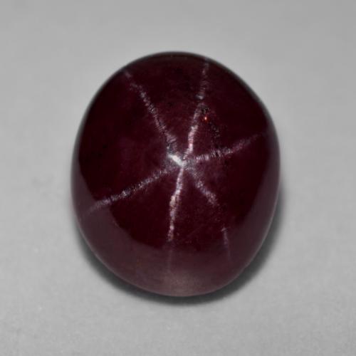 Mahogany Red Star Garnet Gem - 14.5ct Oval Cabochon (ID: 574883)