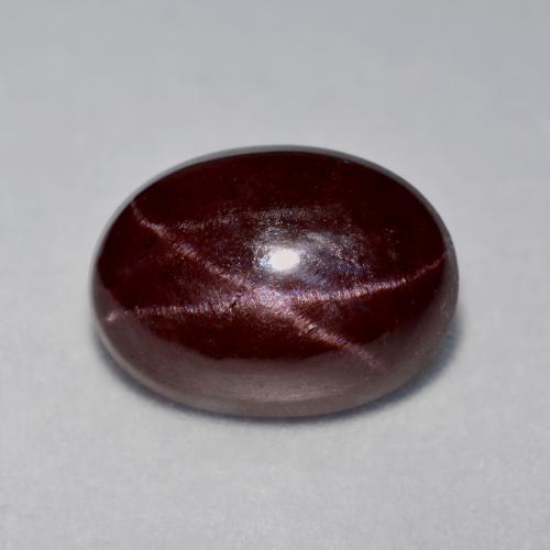 Темно-красный Звездчатый Гранат Камень - 8.2ct Овал Кабошон (ID: 574885)