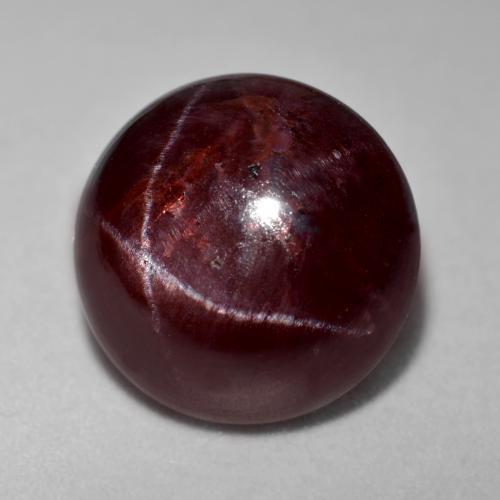 Dark Red Star Garnet Gem - 5.8ct Round Cabochon (ID: 574887)