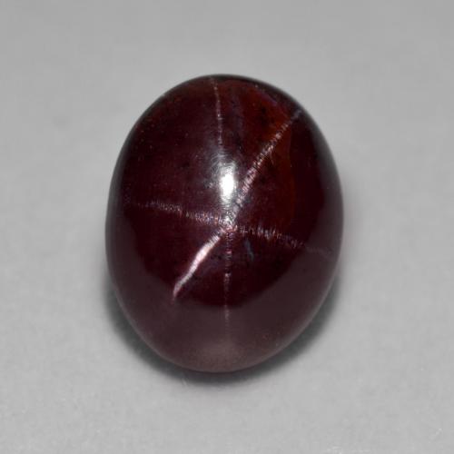 Dark Red Star Garnet Gem - 5.8ct Oval Cabochon (ID: 574951)