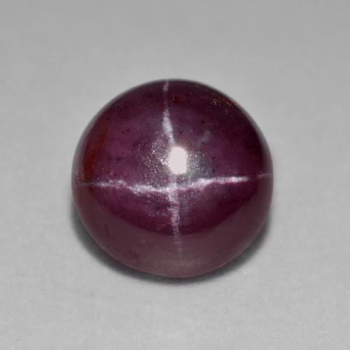 Dark Red Star Garnet Gem - 8.5ct Round Cabochon (ID: 574952)