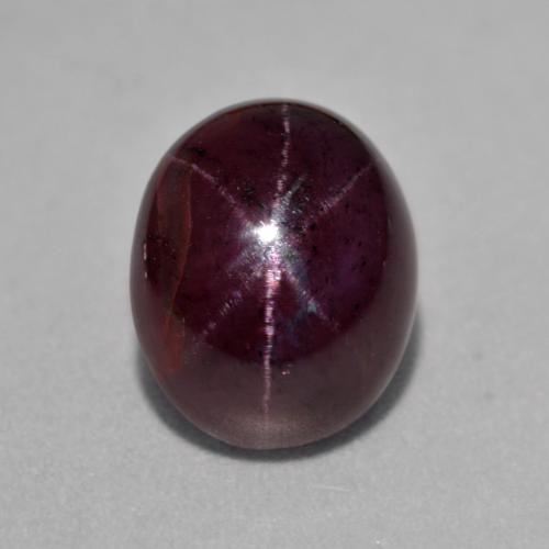 Mahogany Red Star Garnet Gem - 9.5ct Oval Cabochon (ID: 574985)
