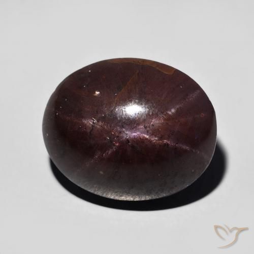 Grenat étoilé ovale de 12,82 ct, 14,2 x 11,4 mm d'Inde, Photo A