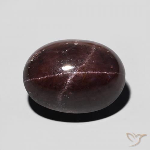 14.58 ct Oval Star Garnet, 15.2 x 11.2 mm From India, Photo A
