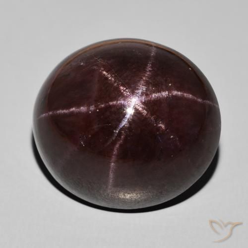 51.55ct Natural Mahogany Red Star Garnet, Oval, Opaque