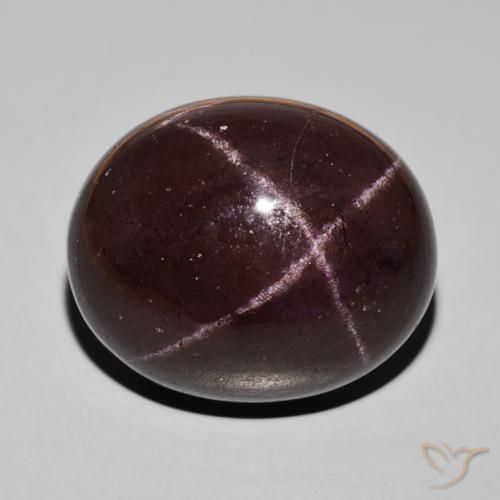 66.39ct Natural Dark Red Star Garnet, Oval, Opaque