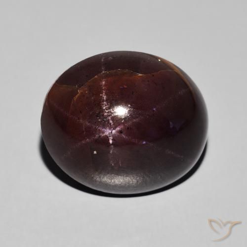 24.21ct Natural Mahogany Red Star Garnet, Oval, Opaque