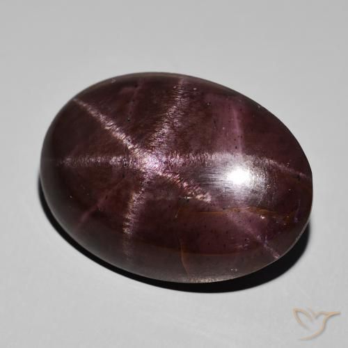68.34ct Natural Mahogany Red Star Garnet, Oval, Opaque