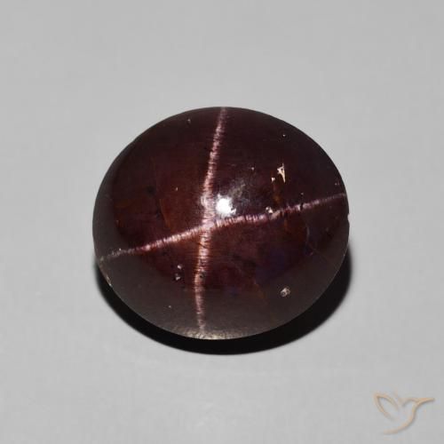 10.16ct Natural Dark Red Star Garnet, Oval, Opaque
