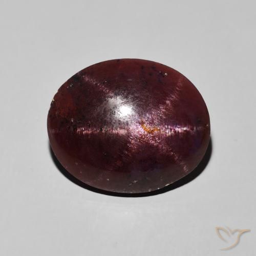 12.20ct Natural Mahogany Red Star Garnet, Oval, Opaque