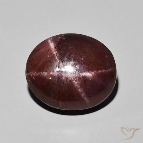13.83ct Natural Mahogany Red Star Garnet, Oval, Opaque