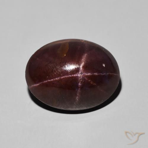 15.94ct Natural Mahogany Red Star Garnet, Oval, Opaque