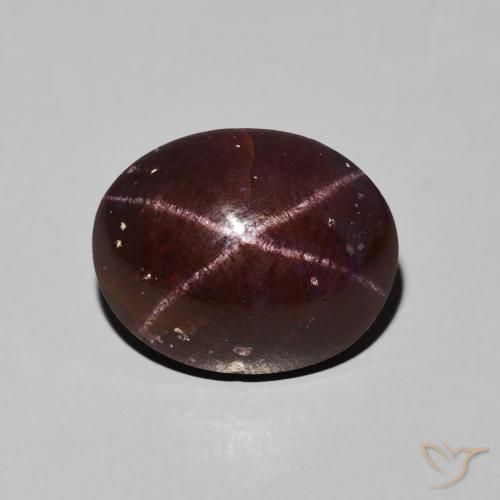 9.76ct Natural Dark Red Star Garnet, Oval, Opaque