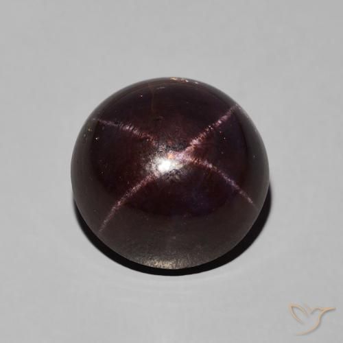 10.73ct Natural Mahogany Red Star Garnet, Round, Opaque