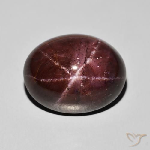 33.69ct Natural Dark Red Star Garnet, Oval, Opaque