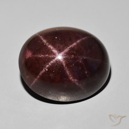 60.67ct Natural Mahogany Red Star Garnet, Oval, Opaque