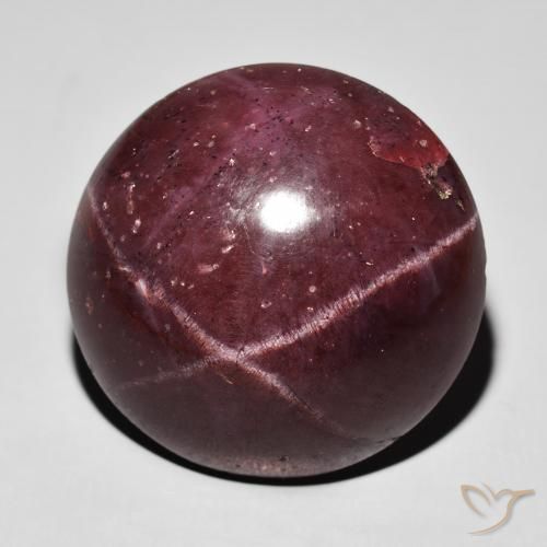 55.54ct Natural Mahogany Red Star Garnet, Round, Opaque