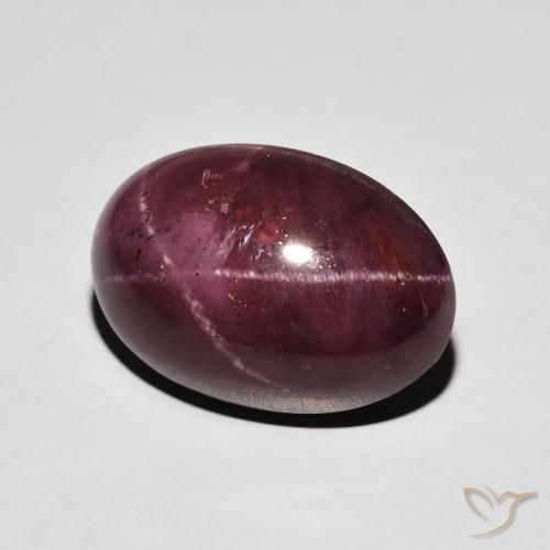 17.39 ct Red Star Garnet Stone, Natural Star Garnet in Oval Cabochon Shape for Sale