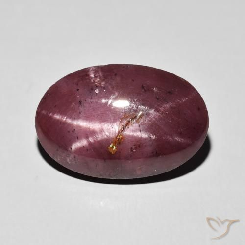 10.84ct Natural Dark Red Star Garnet, Oval, Opaque