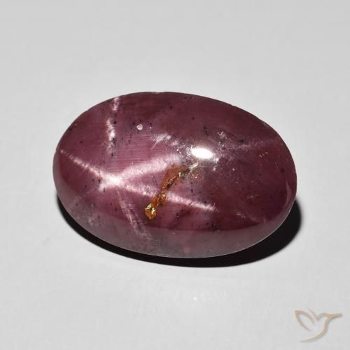 10.84 ct Red Star Garnet Stone, Natural Star Garnet in Oval Cabochon Shape for Sale