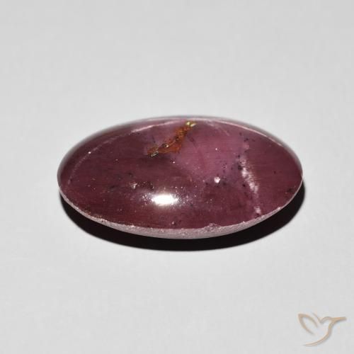 Star Garnet Gemstone in 16.7 x 11 mm Size for Sale, Star Garnet Stone in Dark Red Color