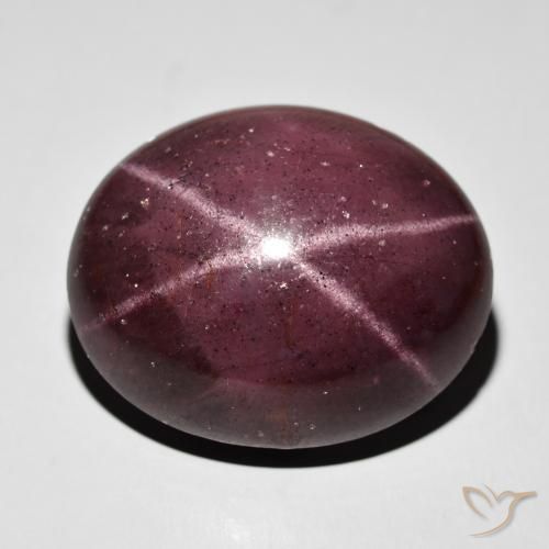 64.50ct Natural Mahogany Red Star Garnet, Oval, Opaque