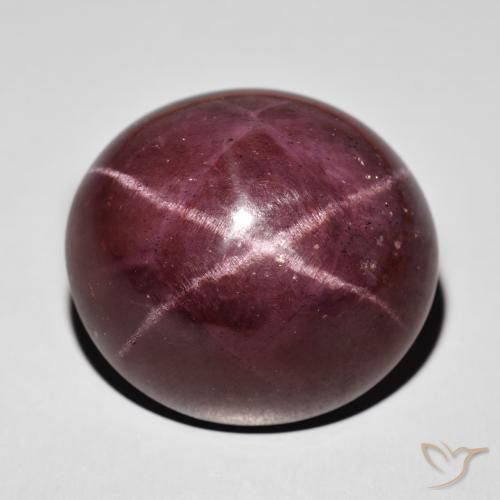 77.87ct Natural Mahogany Red Star Garnet, Oval, Opaque