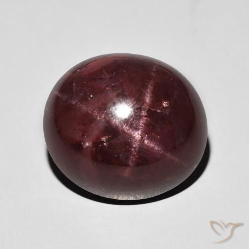 17.08ct Natural Mahogany Red Star Garnet, Oval, Opaque