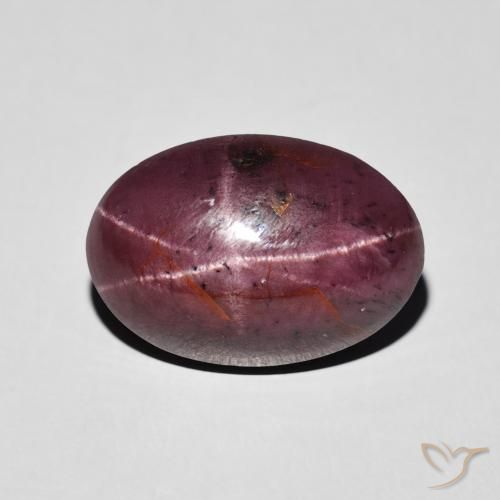 8.72ct Natural Medium Dark-Red Star Garnet, Oval, Opaque