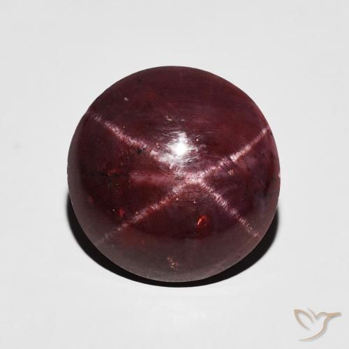 8.57ct Natural Dark Red Star Garnet, Round, Opaque