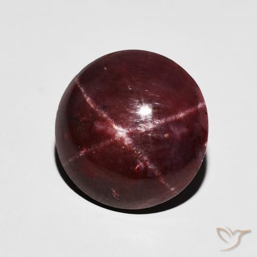 8.57 ct Red Star Garnet Stone, Natural Star Garnet in Round Cabochon Shape for Sale