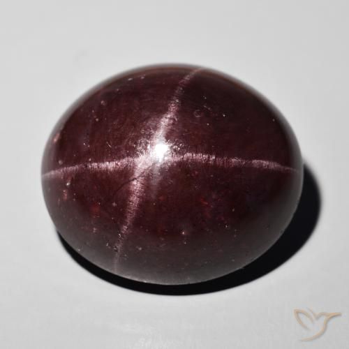 55.50ct Natural Dark Red Star Garnet, Oval, Opaque