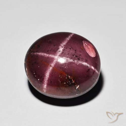 15.64ct Natural Mahogany Red Star Garnet, Oval, Opaque