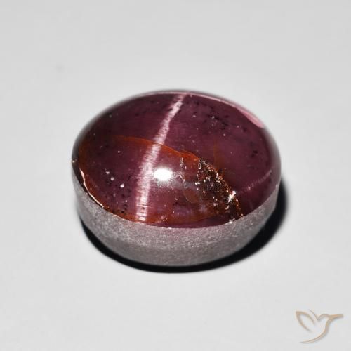 Star Garnet Gemstone in 12.9 x 11.4 mm Size for Sale, Star Garnet Stone in Mahogany Red Color