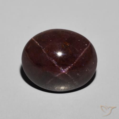 13.31ct Natural Mahogany Red Star Garnet, Oval, Opaque