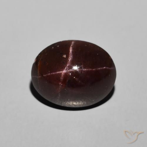 6.48ct Natural Dark Red Star Garnet, Oval, Opaque
