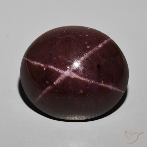 57.92ct Natural Mahogany Red Star Garnet, Oval, Opaque