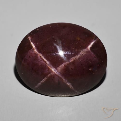 69.04ct Natural Mahogany Red Star Garnet, Oval, Opaque