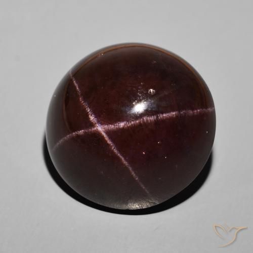 62.52 ct Red Star Garnet Stone, Natural Star Garnet in Round Cabochon Shape for Sale