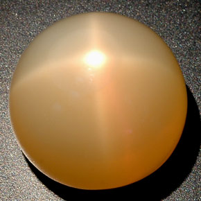 25.04 ct Cream Star Moonstone Gemstone, Star Moonstone Gem in Round Cabochon Shape for Sale.