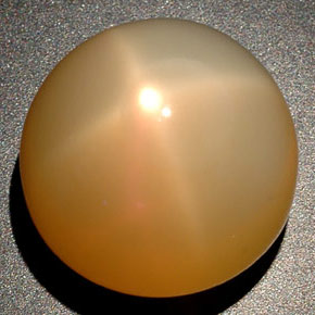 25.04 ct Cream Star Moonstone Stone, Natural Star Moonstone in Round Cabochon Shape for Sale