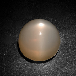 28.75 ct Cream Star Moonstone Gemstone, Star Moonstone Gem in Round Cabochon Shape for Sale.