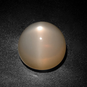 28.75 ct Cream Star Moonstone Stone, Natural Star Moonstone in Round Cabochon Shape for Sale