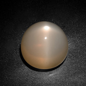 Star Moonstone Gemstone in 17.5 mm Size for Sale, Star Moonstone Stone in Orange Cream Color