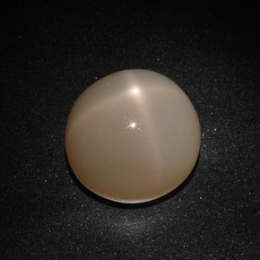 22.41 ct Cream Star Moonstone Gemstone, Star Moonstone Gem in Round Cabochon Shape for Sale.
