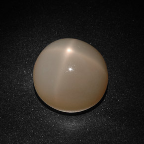 22.41 ct Cream Star Moonstone Stone, Natural Star Moonstone in Round Cabochon Shape for Sale